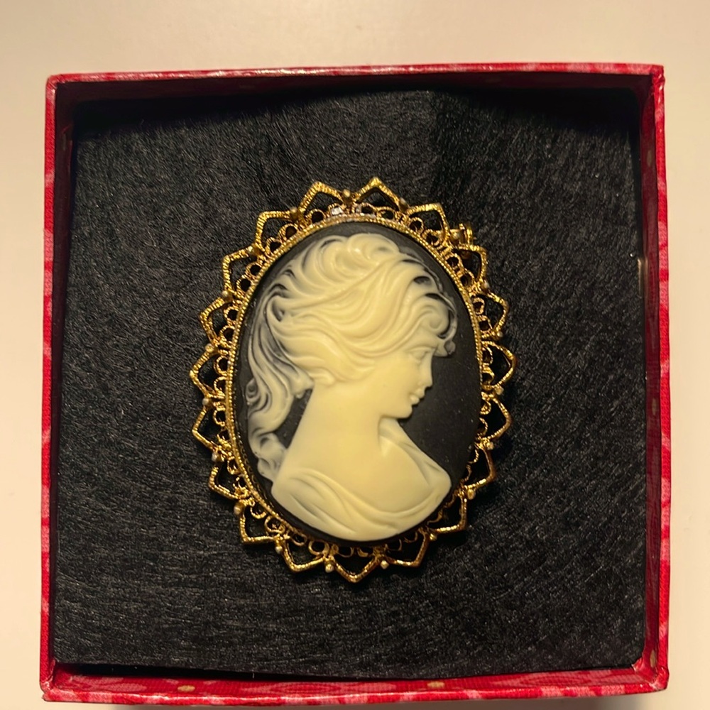 Costume vintage cameo pin